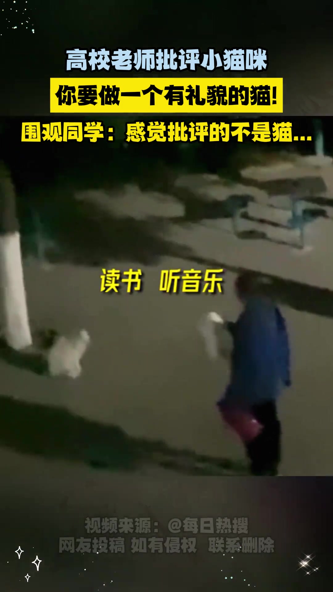 高校老师在校园内教育小猫：“你要做一只有礼貌的猫”