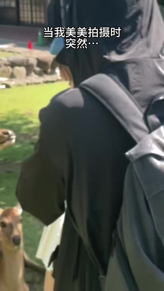美女鹿群中自拍 遭两只色鹿骚扰