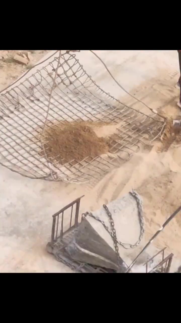 姜太公运沙愿者上网？