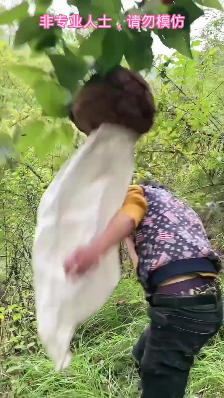 是个狠人！居然徒手摘马蜂窝