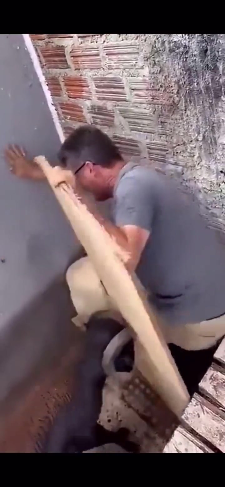 这老哥太惨了 被羊拖去暗角暴击！