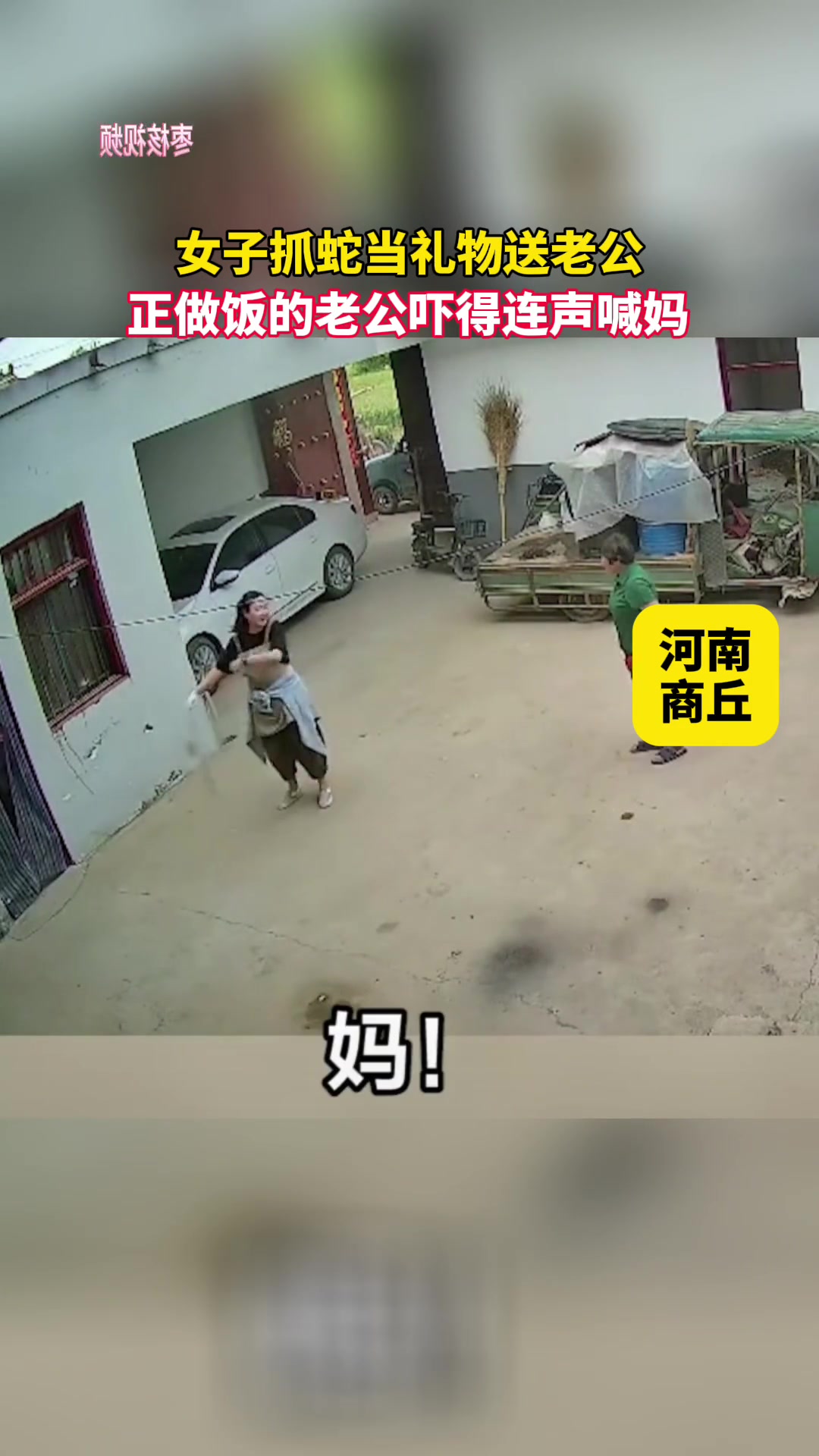 女子抓蛇送老公 正做饭的老公被吓得连声喊妈