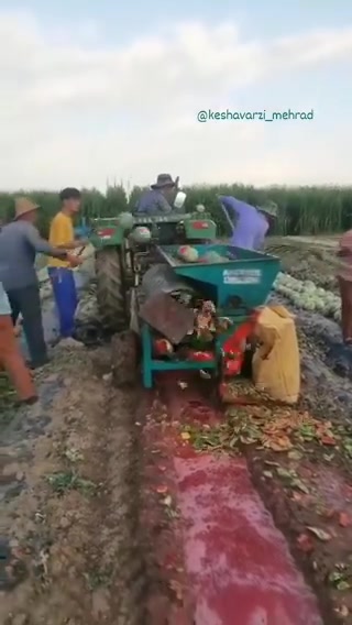 不懂就问：这是西瓜产能过剩了么？