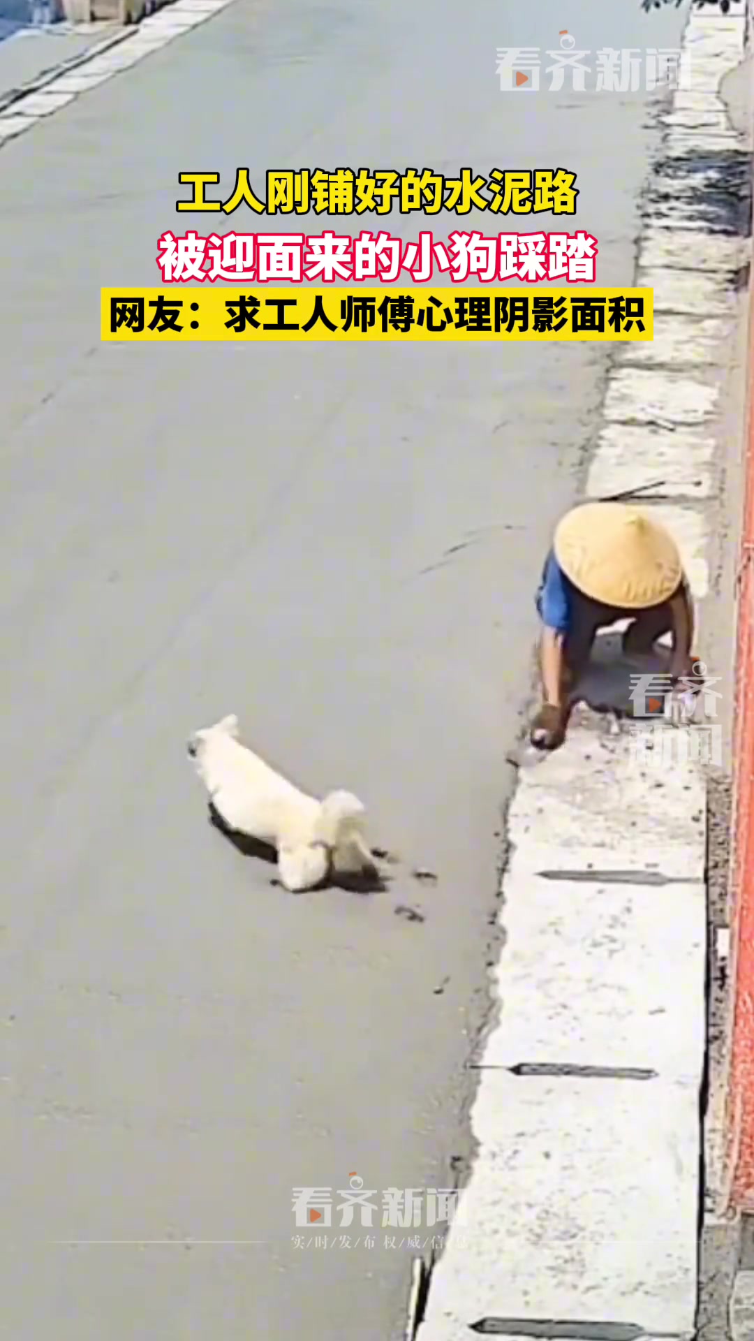 刚铺好的水泥路被迎面走来小狗留下“一步一脚印”~