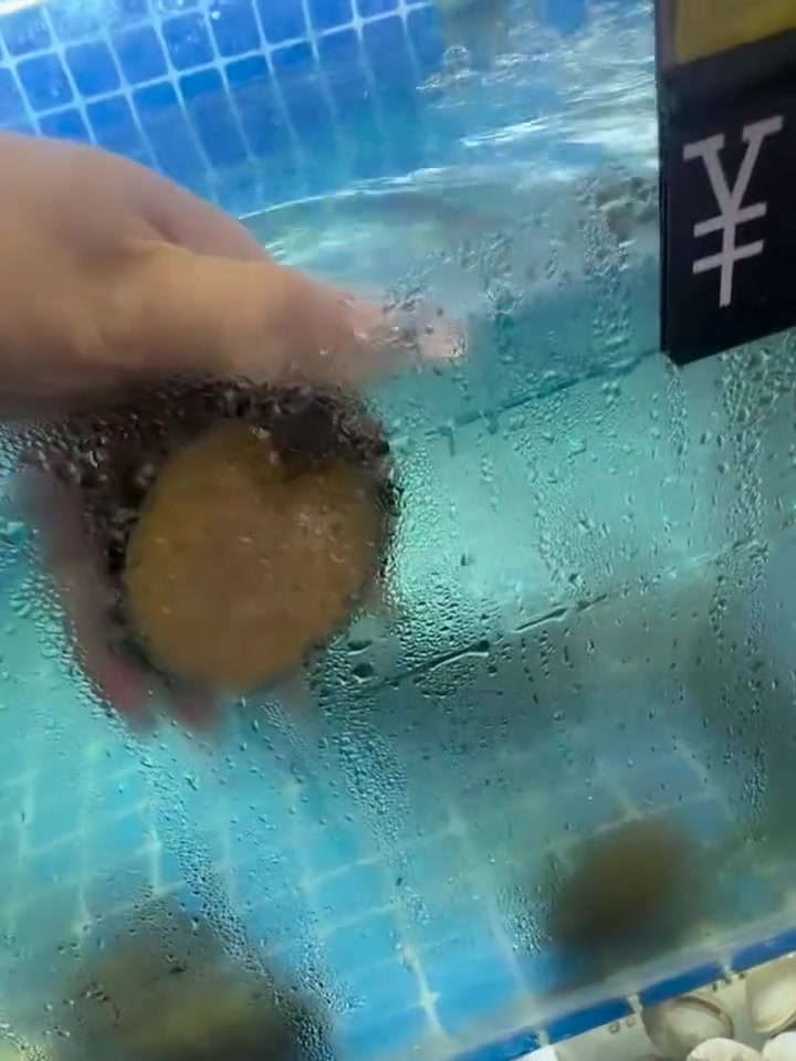 我怎么感觉天灵盖凉凉的