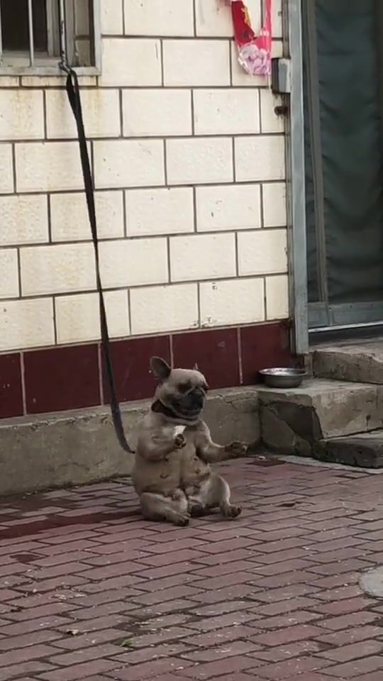 看样子你科二稳过