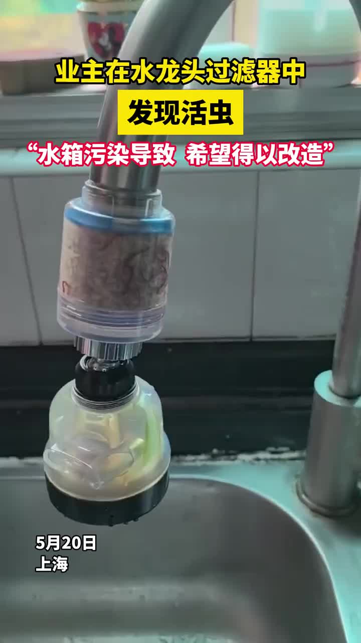 业主居然在水龙头过滤器中发现活虫！