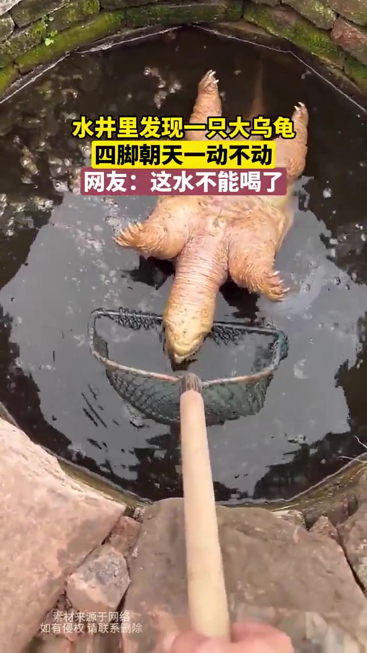 网友：这水不能喝了！