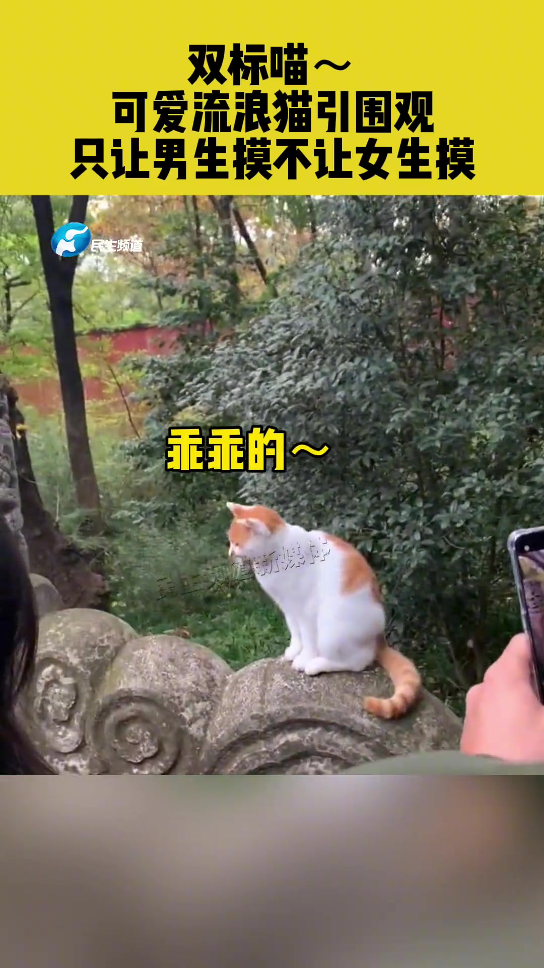 好家伙，还是个双标的！