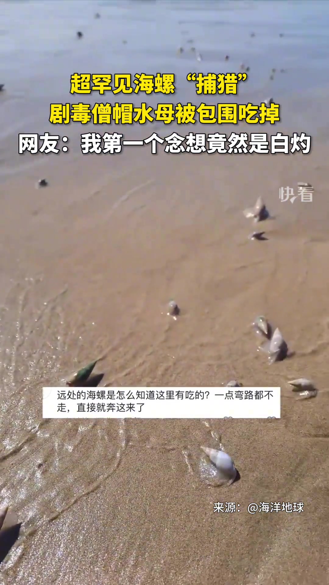 惊呆了！我第一个念想竟然是白灼…