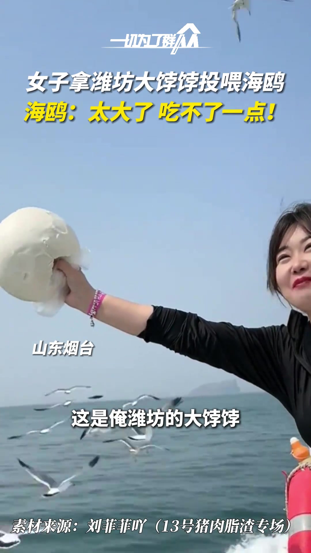 海鸥：她给的太多了！吃不了一点...