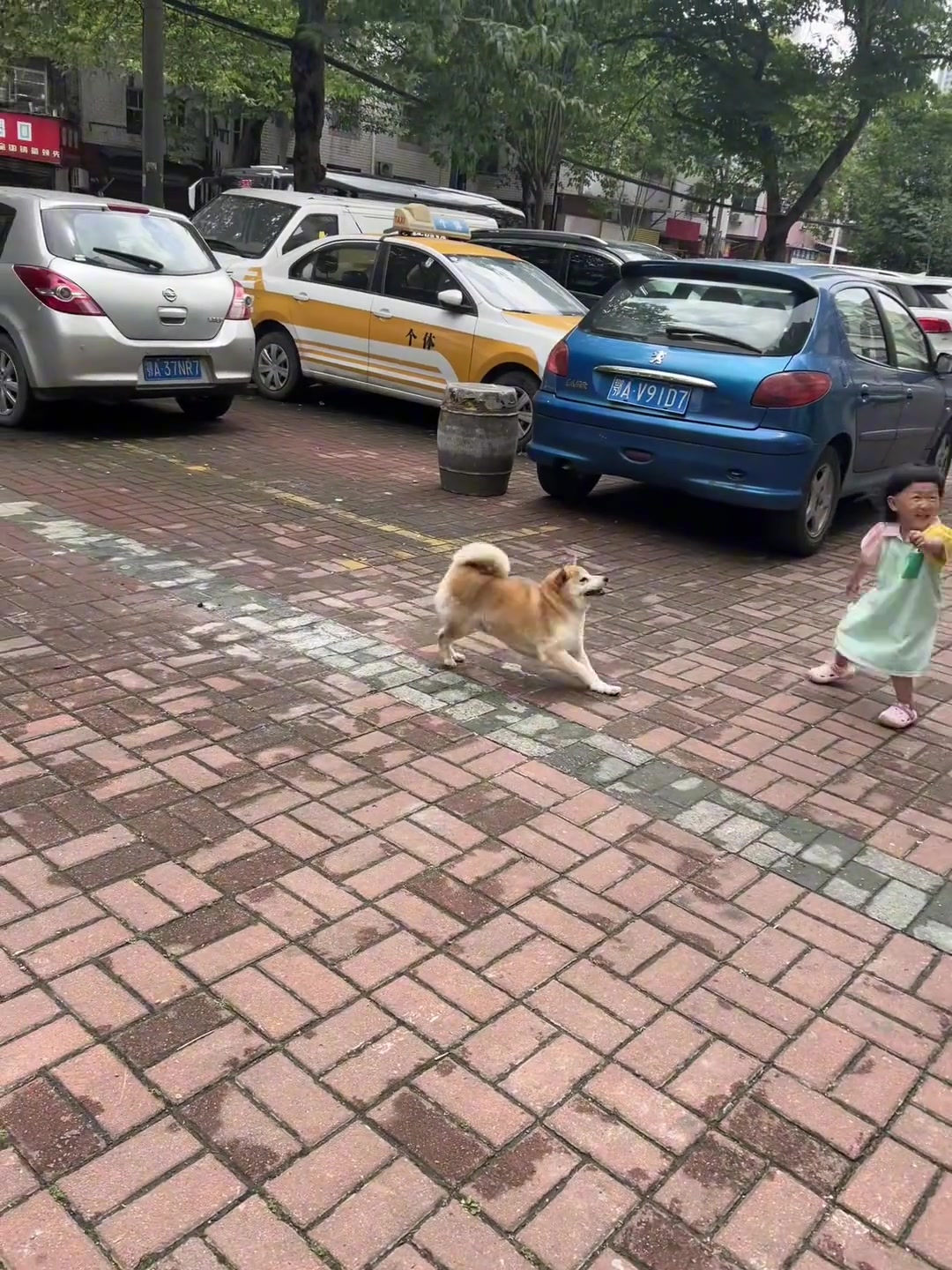 果然吃东西就是会很快乐