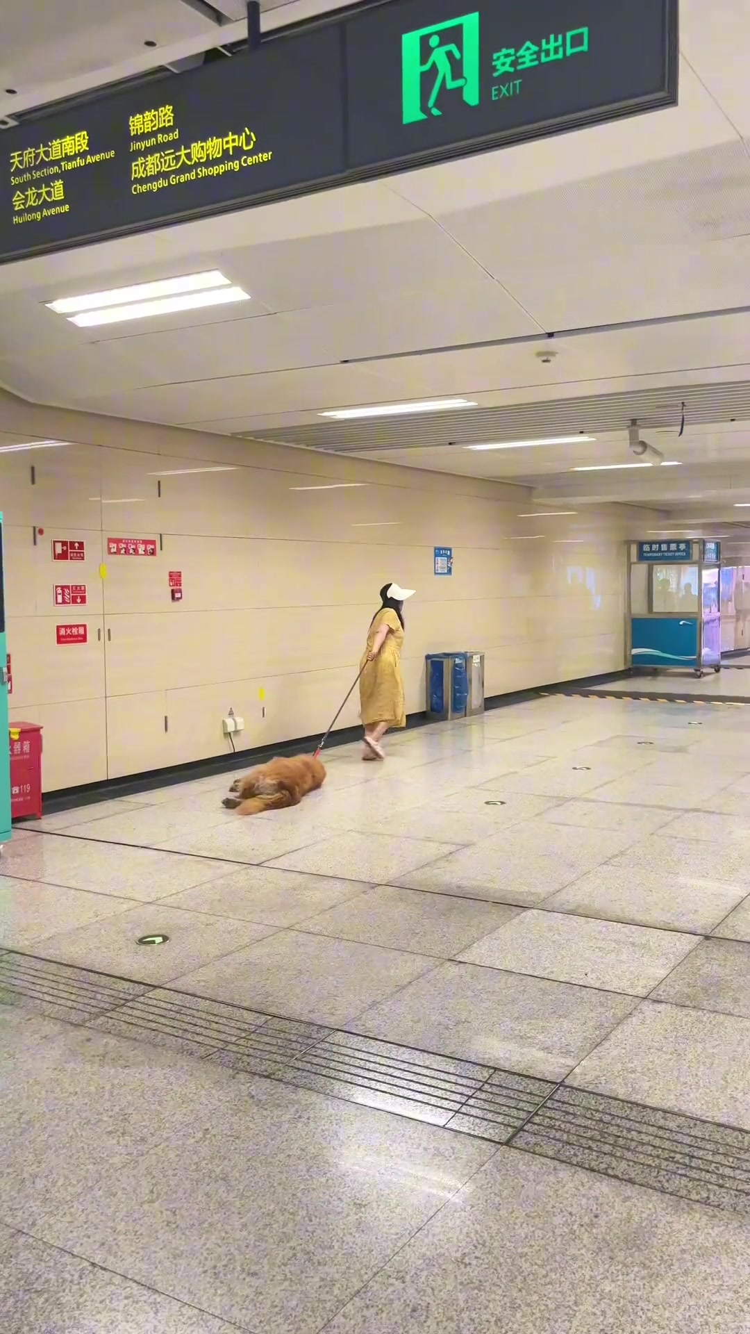 干啥啥不行，干饭必须第一名呀