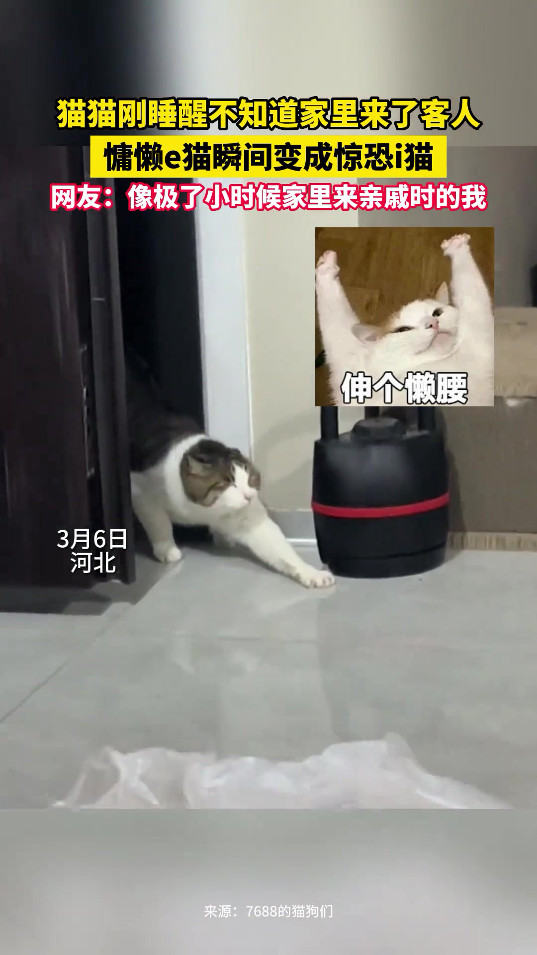 woc！怎么突然这么多人！