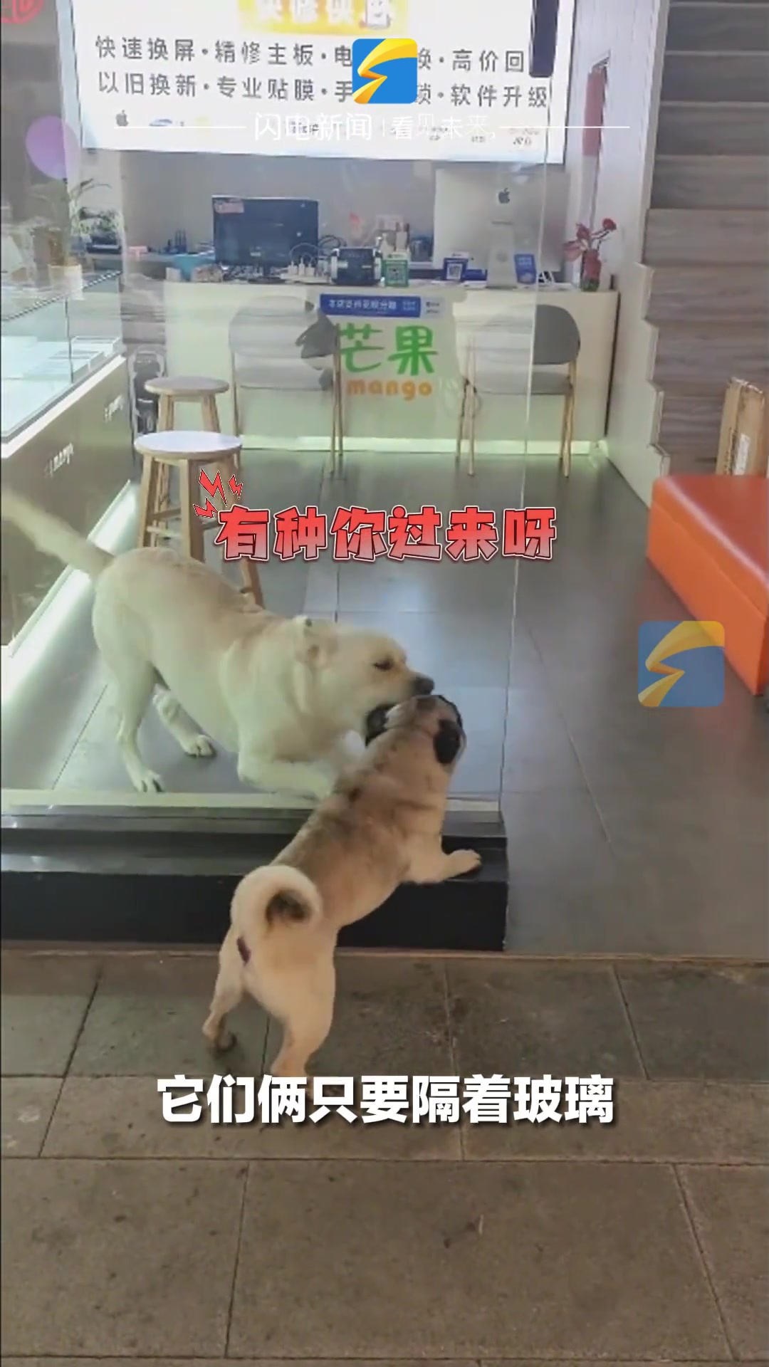 《当代网友现状》