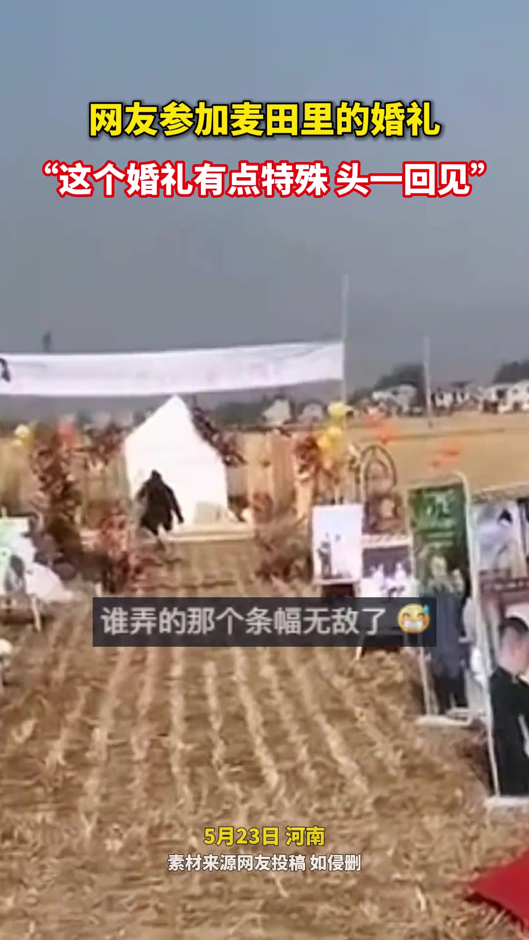 网友参加麦田里的婚礼，这个婚礼有点特殊，头一回见！