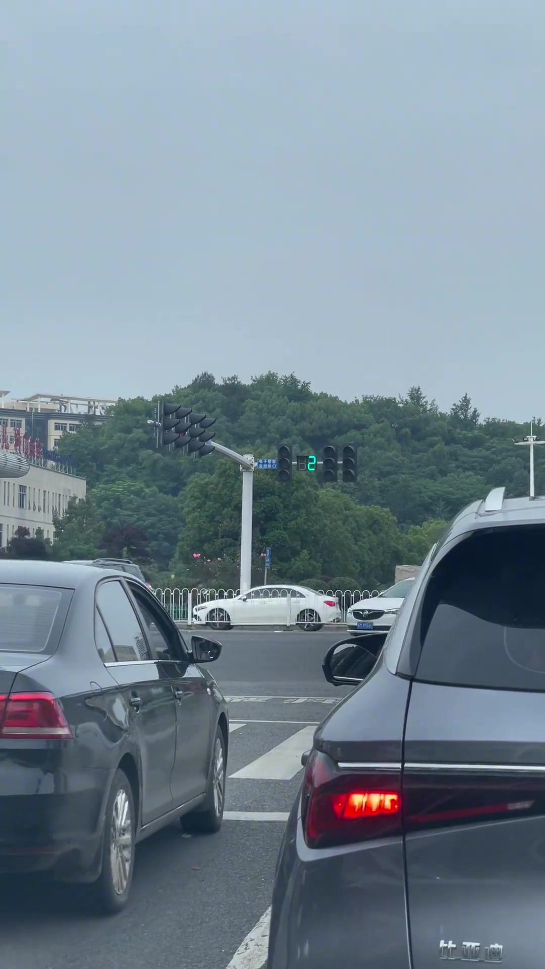 这红绿灯实习期的手动挡哥们看了都瑟瑟发抖