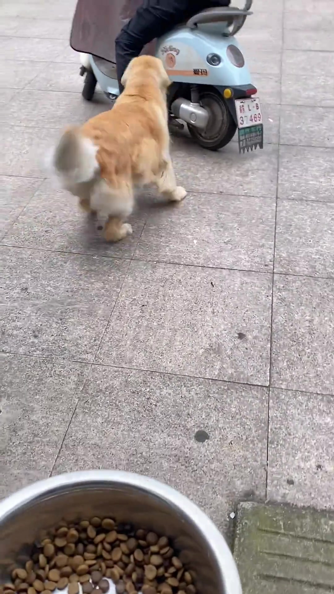 哈哈哈，它真的好忙啊哈哈