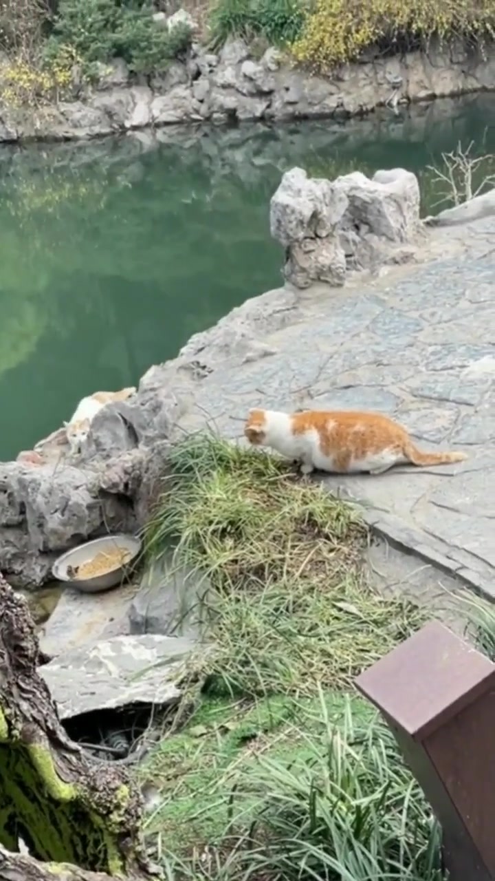 这是谁在埋伏谁？