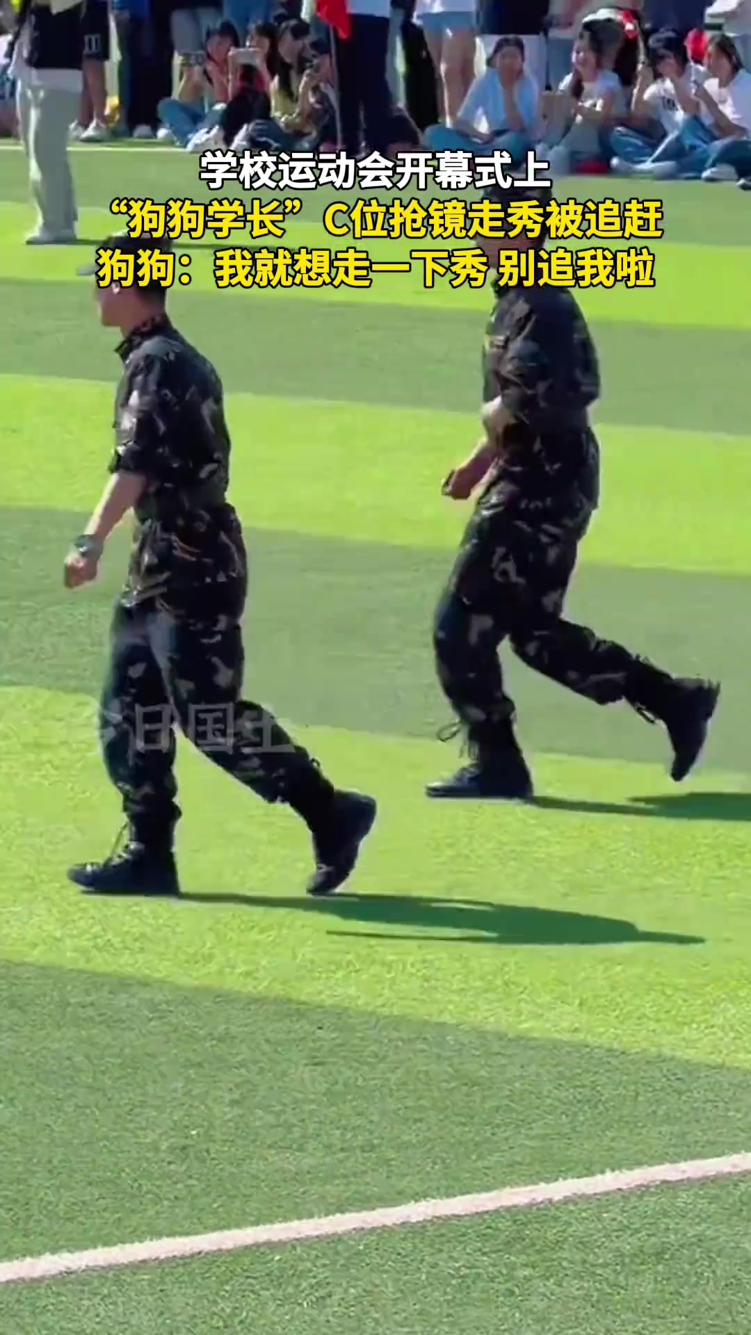 狗狗：我就想走一下秀 别追我啦