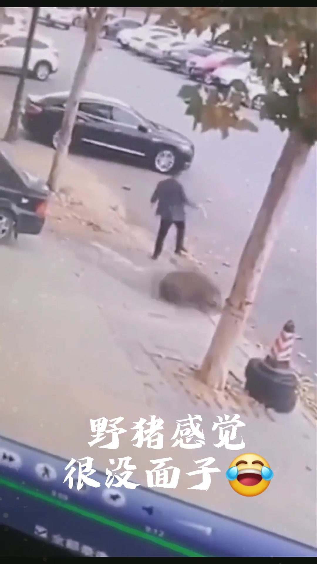 稳住别急，瞬间瞬间闪躲！