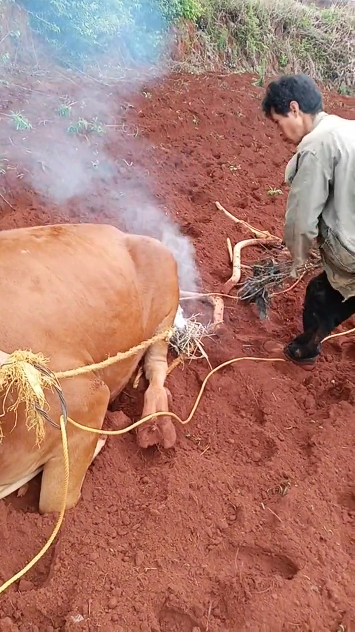 这是什么操作？我耕地也看不懂是在干啥