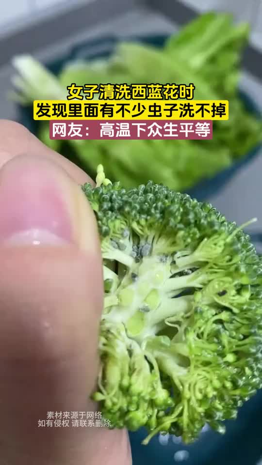 洗西兰花的时候发现很多虫子洗不掉，已经不敢吃了