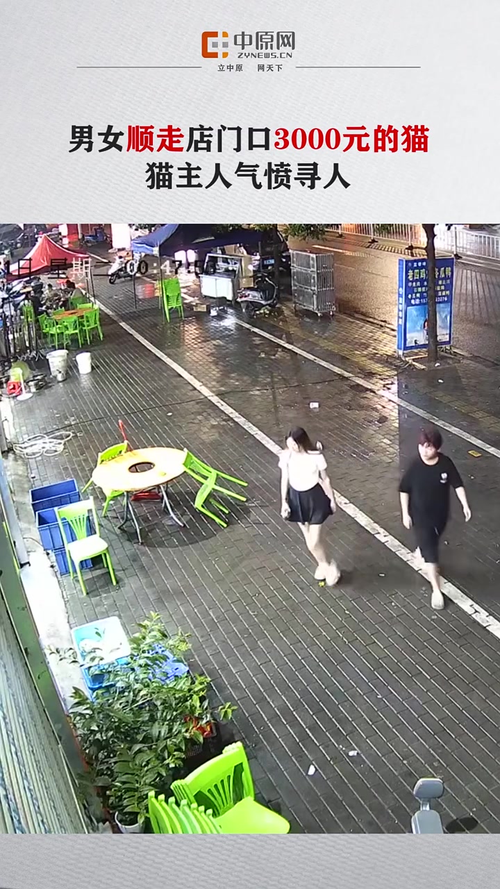 无语！男女顺走店门口3000元的猫！