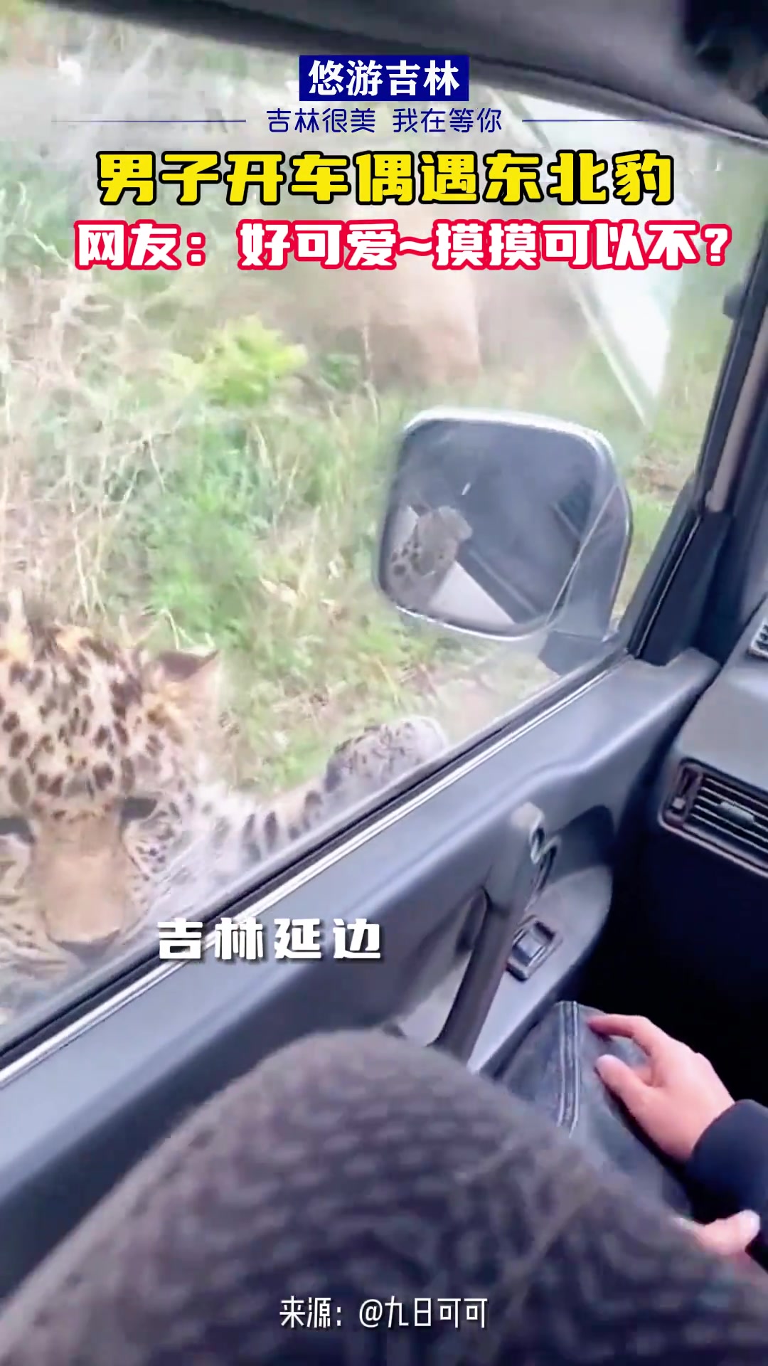 一生开朗的东北人，人家都要吃你，还觉得人家是跟你好