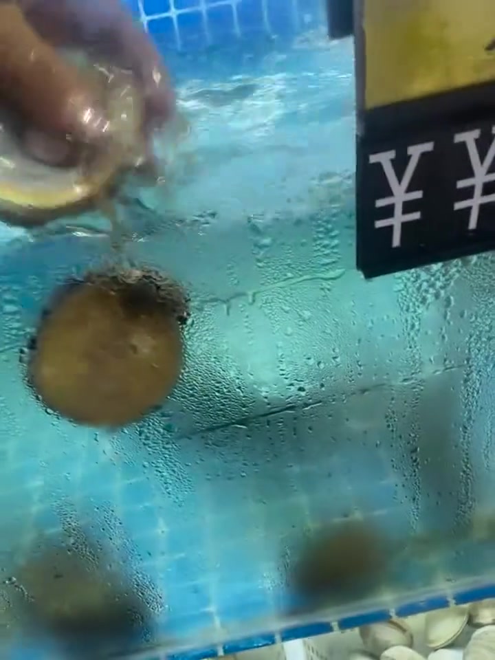 壳都扣掉了还吸在上面啊