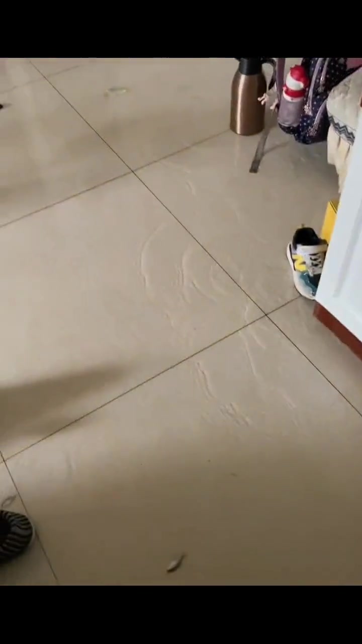这是怎么预判到开手机录像的？