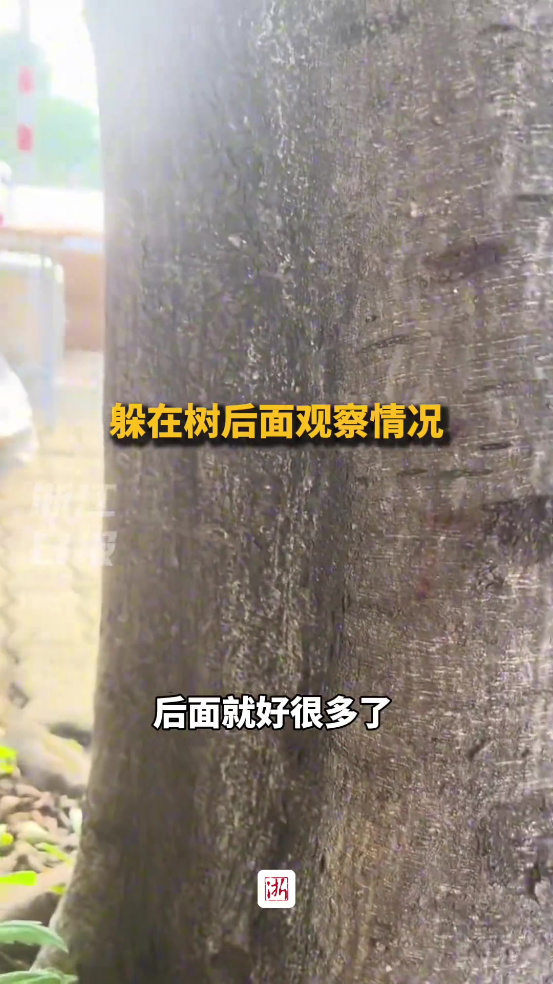 社恐女孩为了锻炼胆量去摆摊 结果......