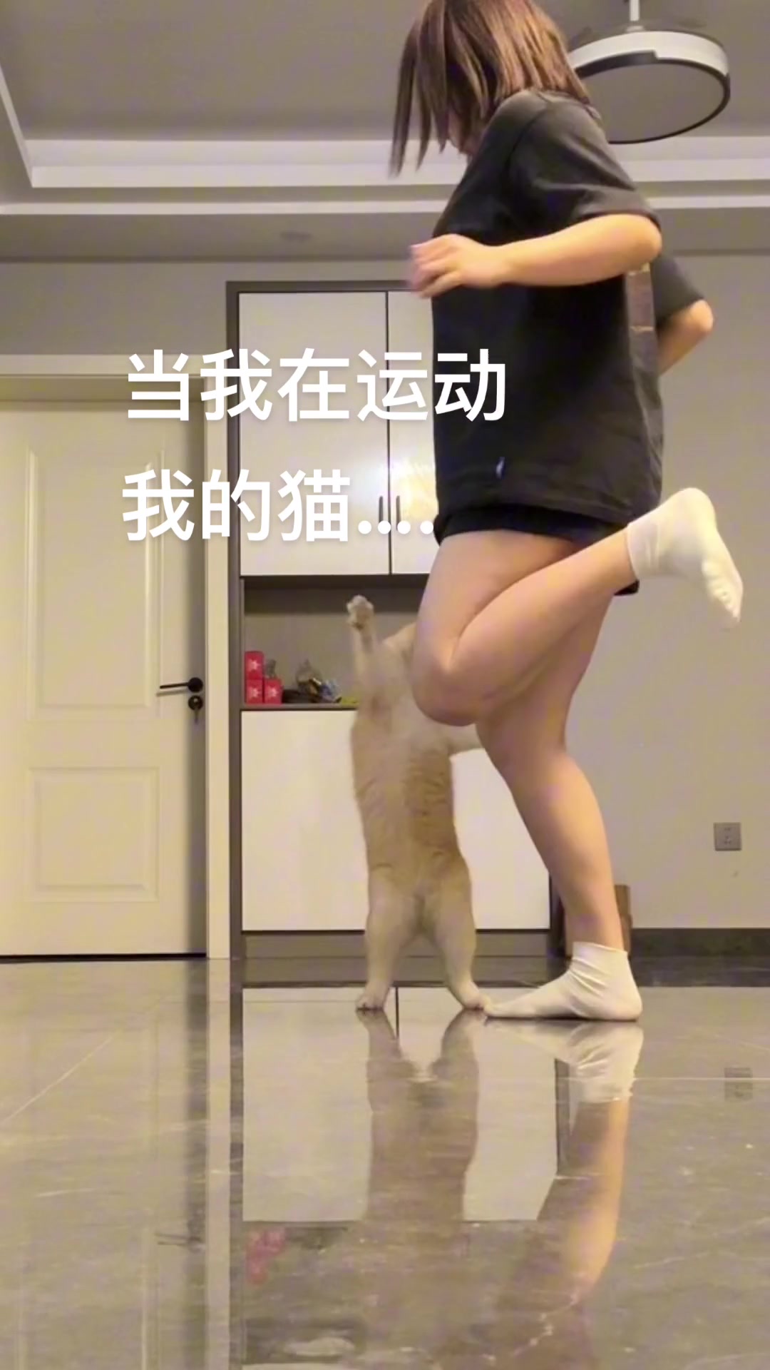 宠物猫爆改运动搭子！