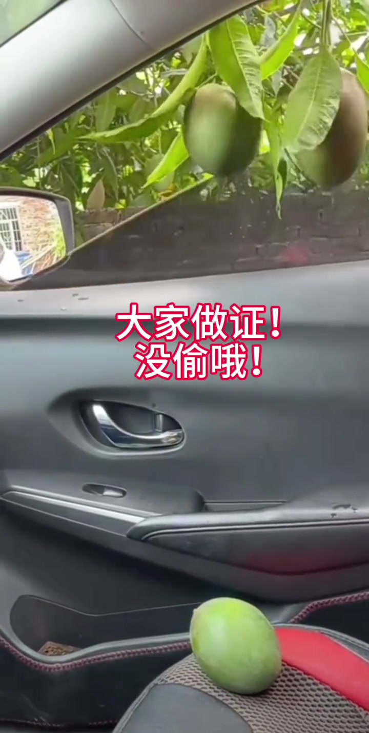 自己进来的！新鲜采摘