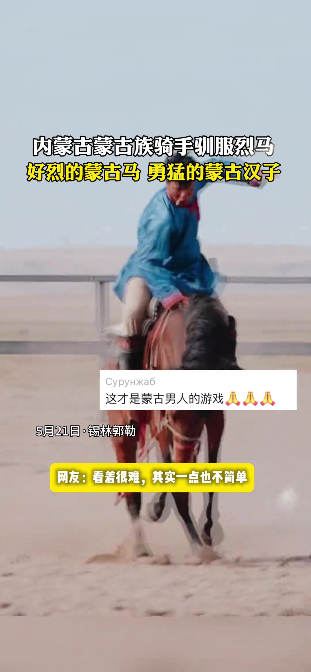 内蒙古蒙古族骑士驯服烈马
