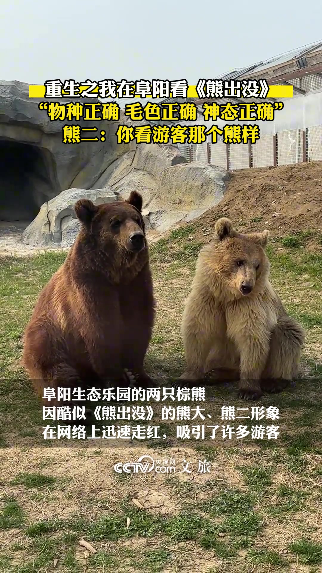 重生之我在阜阳动物园看《熊出没》，还缺个光头强