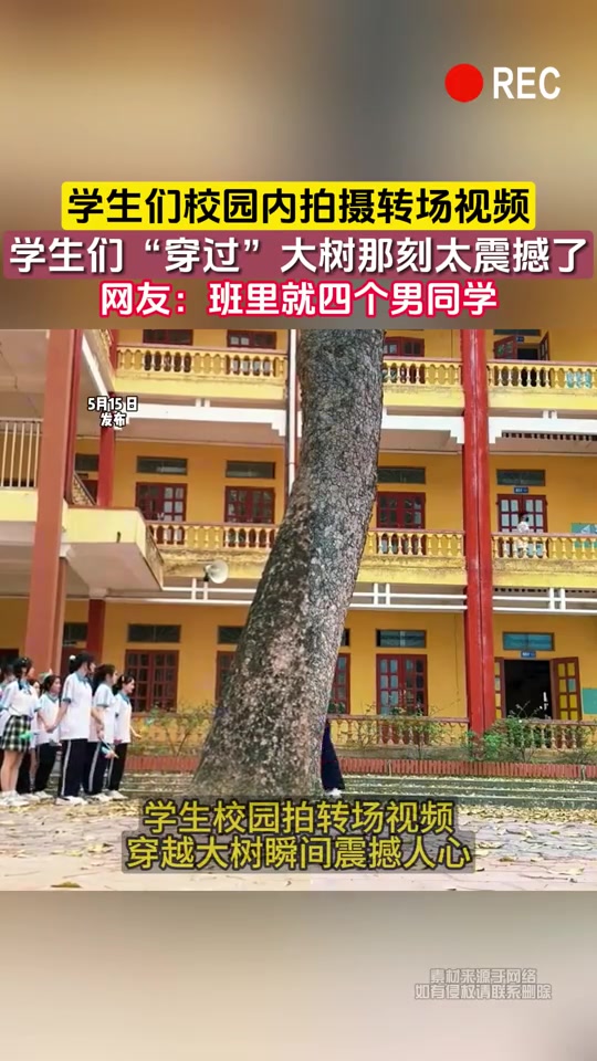 学生们校园内拍摄转场视频，学生们穿过树那刻太震撼了