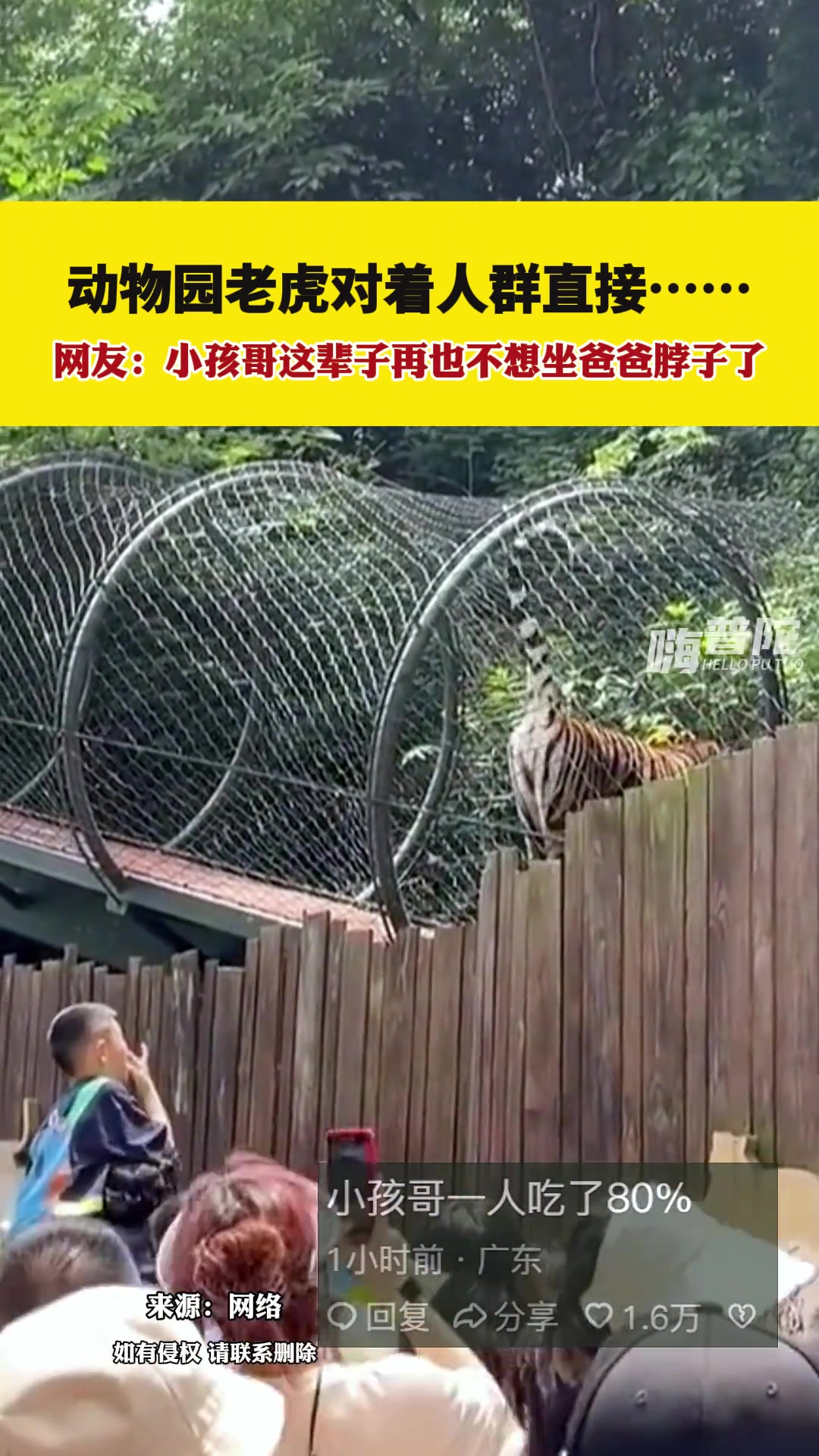 老虎对着人群直接喷射，正中坐在爸爸脖子上的小孩