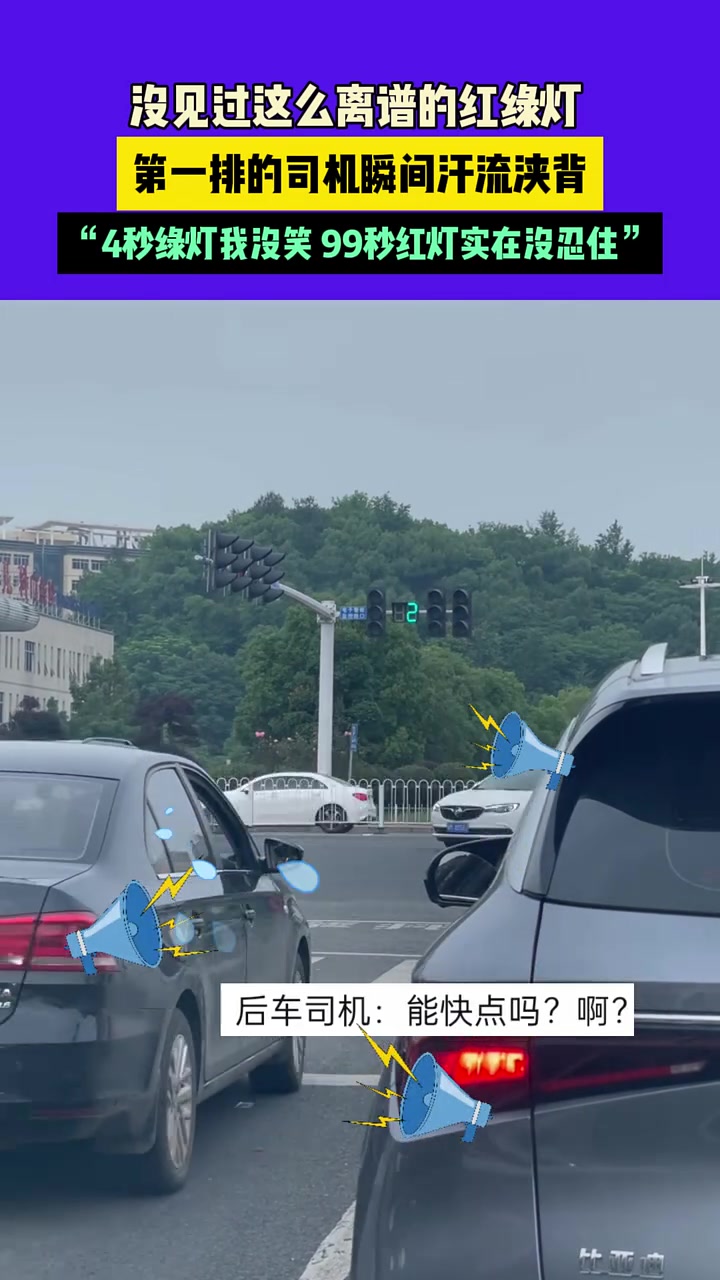 4秒绿灯我没叫，99秒红灯我狂笑