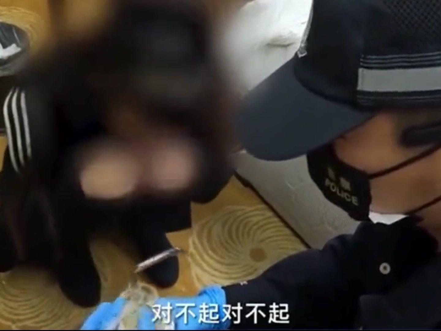 早知今日何必当初！“小仙女”被抓连连找警察叔叔求饶