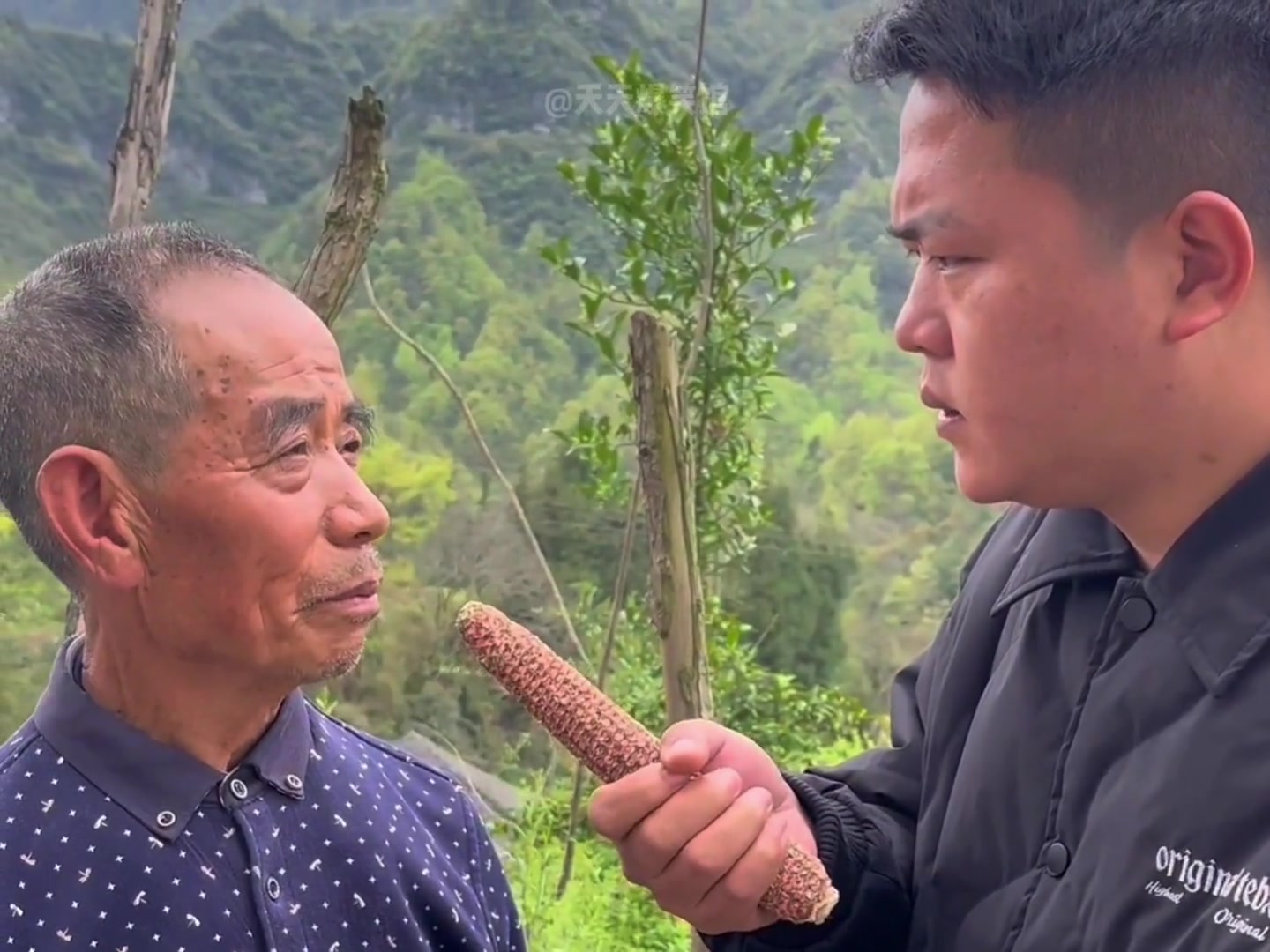 看着不像段子