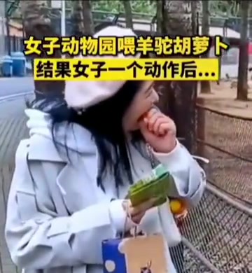 羊驼觉得自己受到侮辱了
