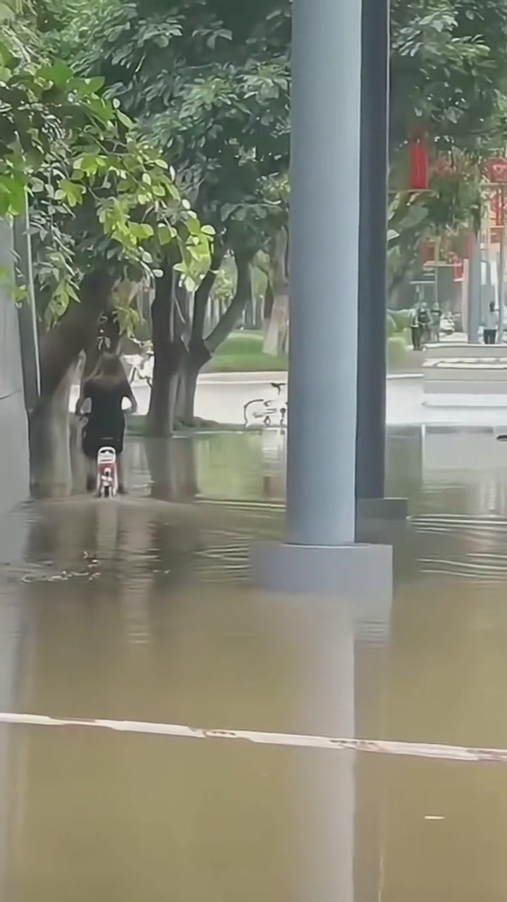 小姐姐这浑水是非趟不可吗？