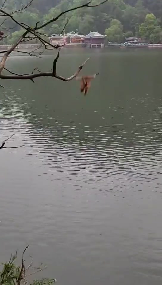 水花这么大，2分不能再多了啊
