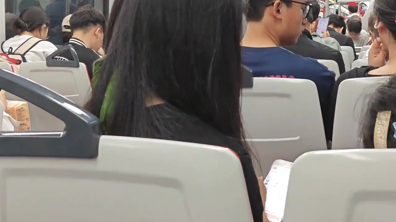 原来小鸟依人是真的啊，这种到底咋训练的呀？