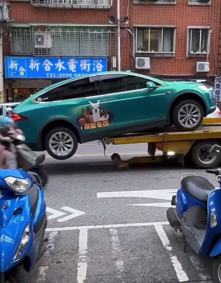 拖个车，不仅把肠子拽出来了，还把下巴磕了