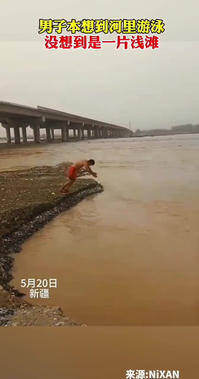 脑瓜子嗡嗡的了吧