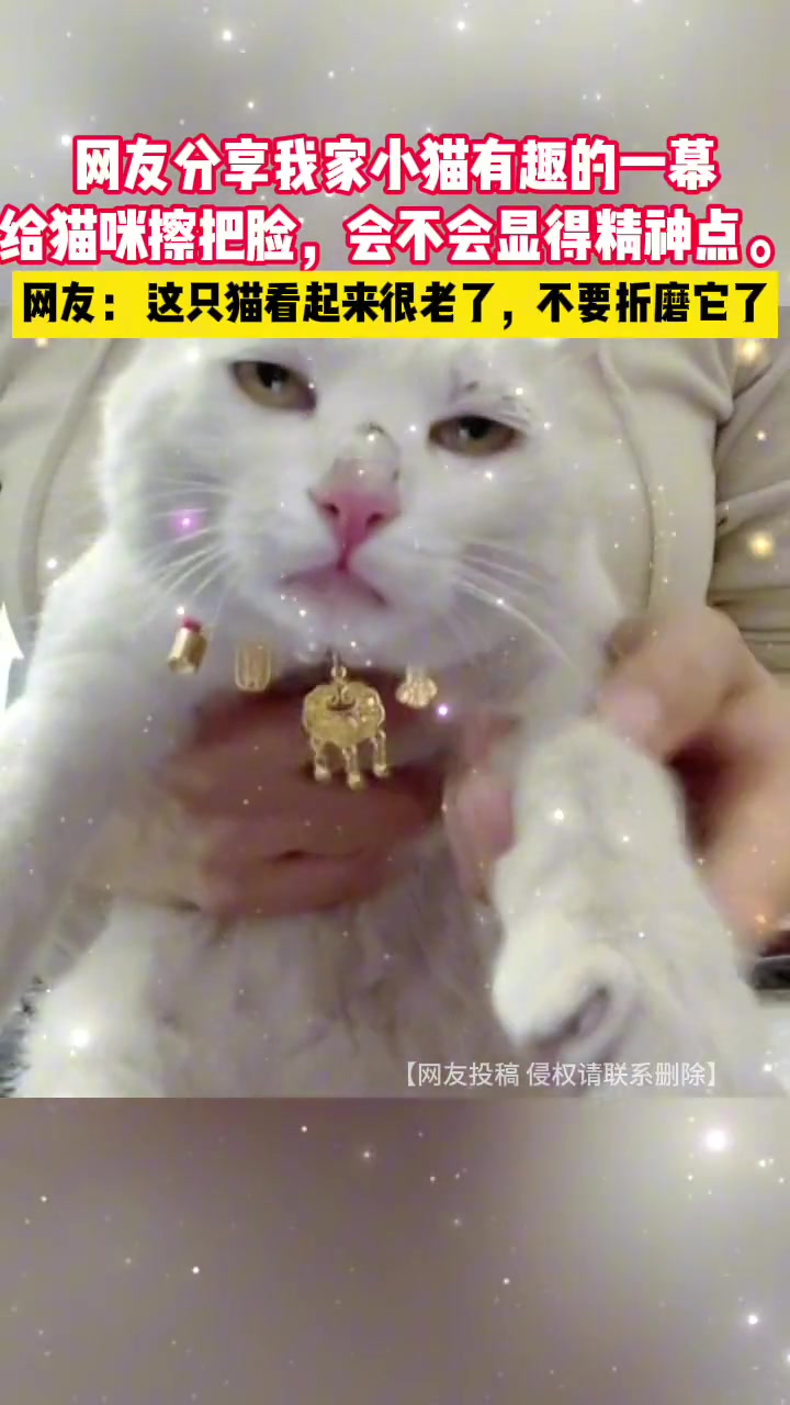 给这个猫咪擦把脸，会不会显得精神点