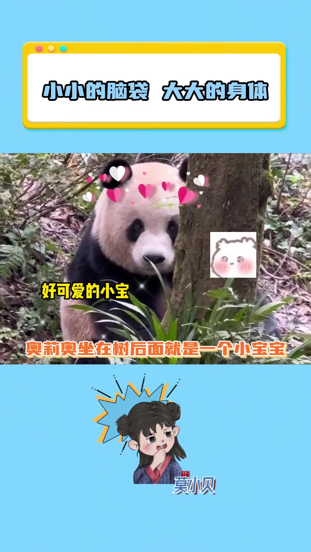 熊猫还真是树后两头身，走出来九头身
