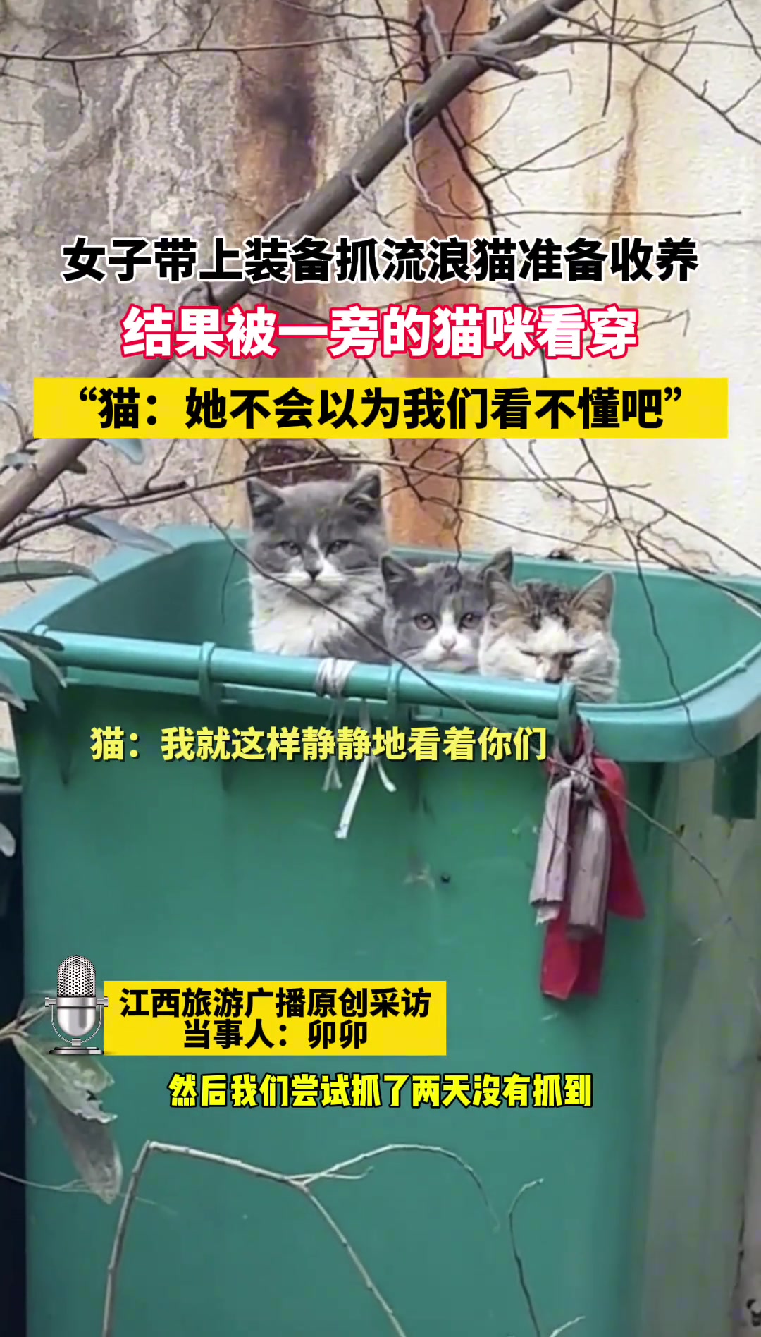 她不会以为我们看不懂吧！
